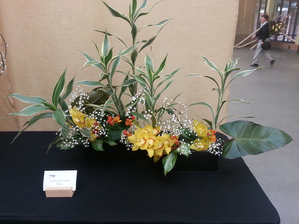 Ohara Arrangement